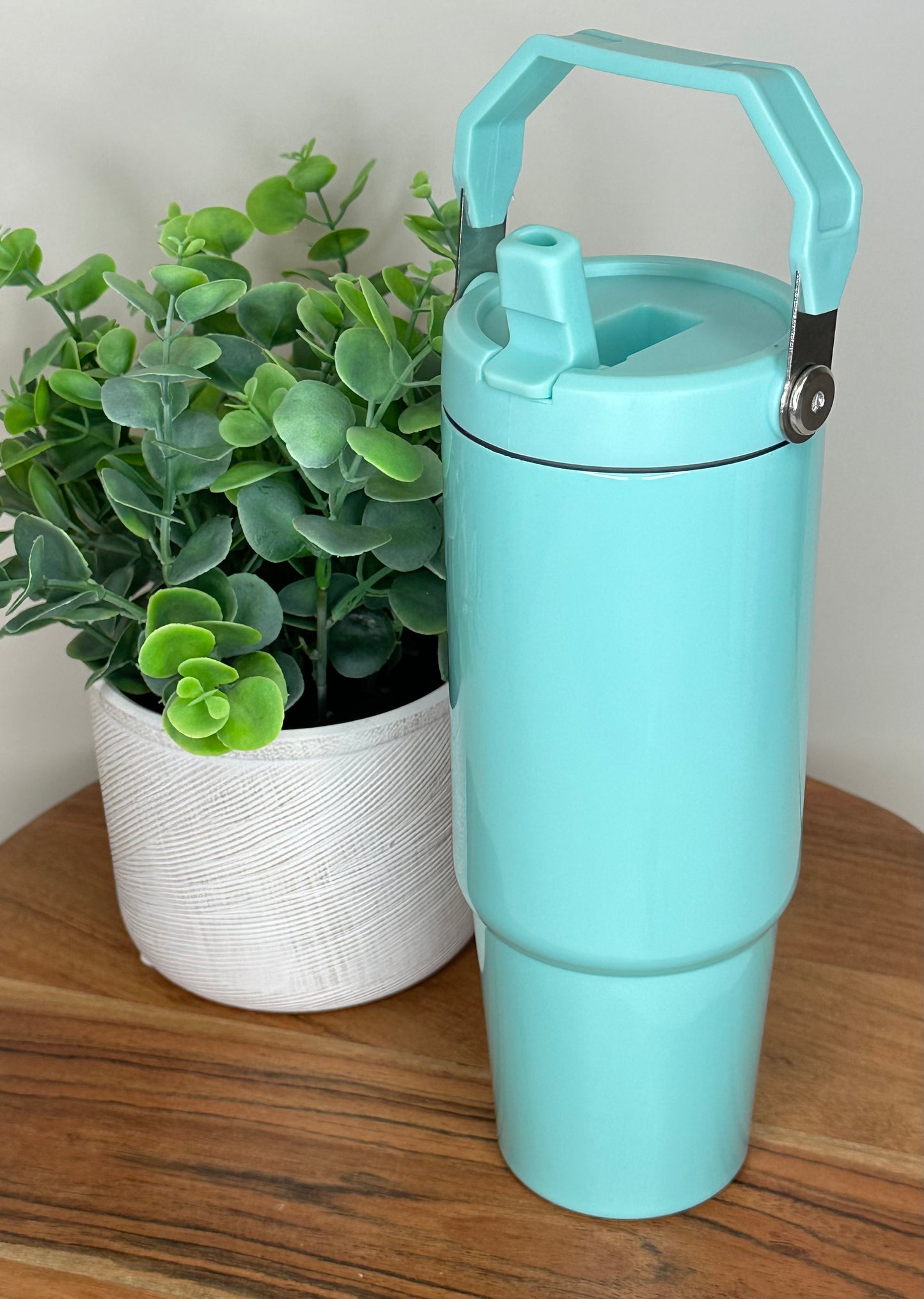 30oz tumbler with handle (Light Green)