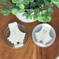 Ghost Lid Topper for V1 & V2 Tumblers