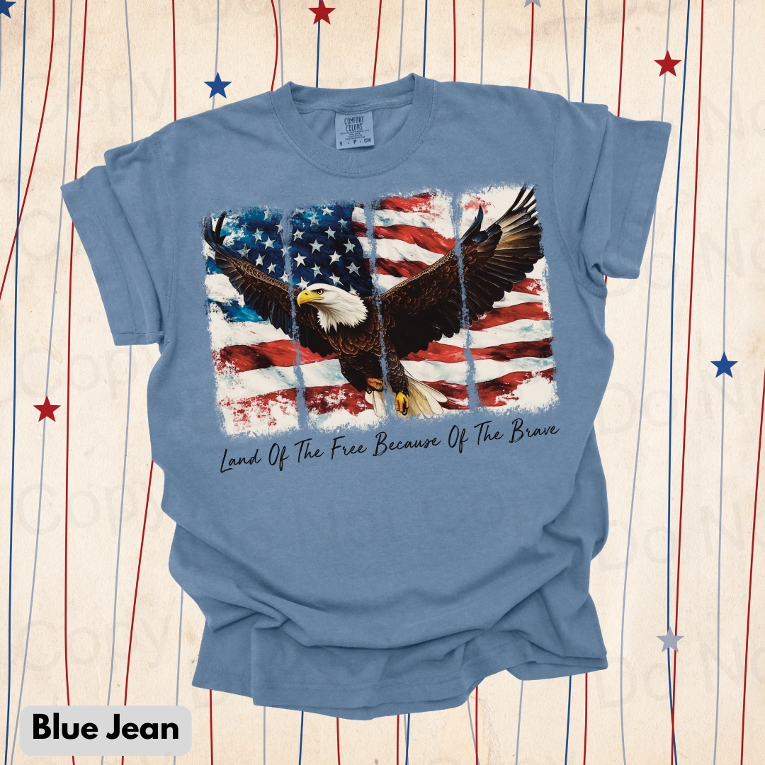 Land of the Free Eagle